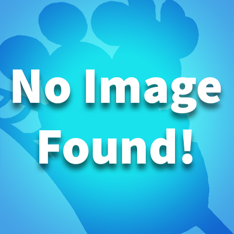 File:No Image.png
