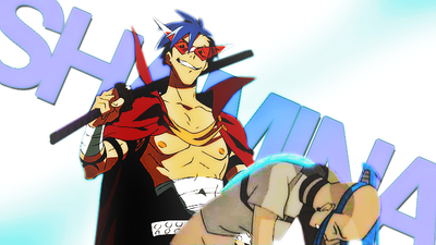 Shenkamina2.2