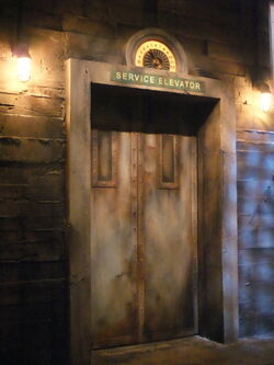 Disneyland 247