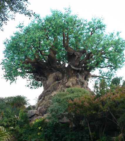 File:Tree of Life.jpg
