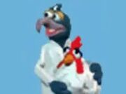 Gonzo