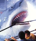 Jaws ride universal