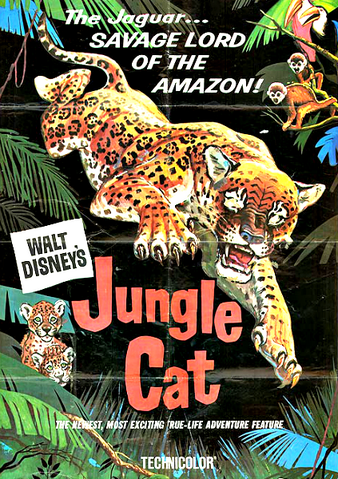 File:Jungle Cat.png