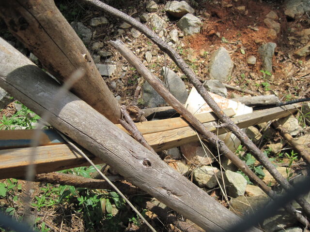 File:Nature Trail 004.jpg