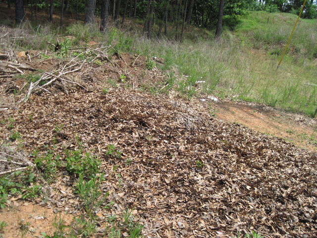 File:Nature Trail 014.jpg