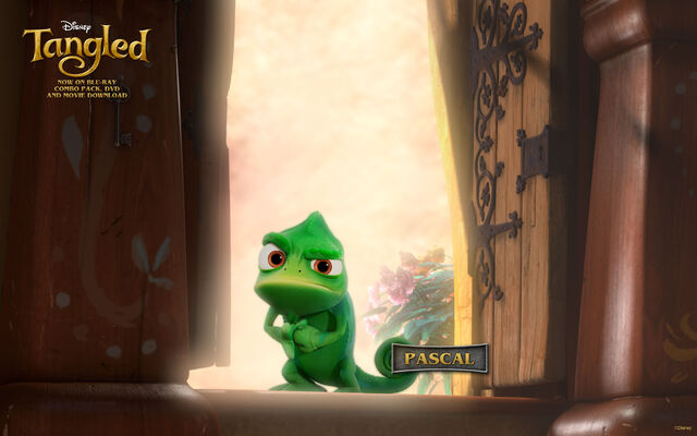 File:Tangled pascal 1920.jpg