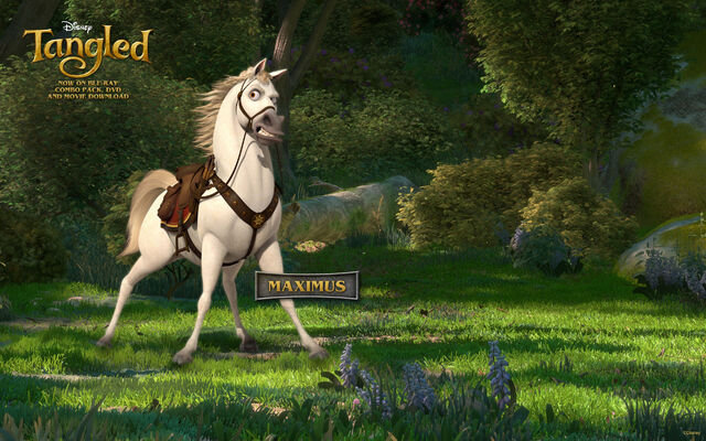 File:Tangled maximus 1920.jpg