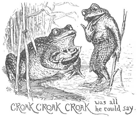 File:Toad.jpg