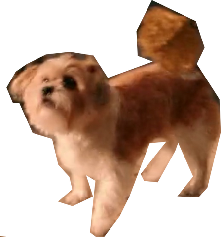File:IMG 5172.png
