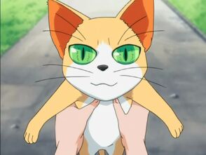 Raku