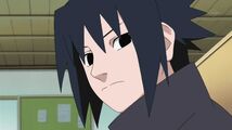 Naruto Shippuuden 213-049