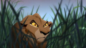 Simbas pride 0837