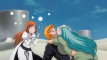 Bleach 192-233