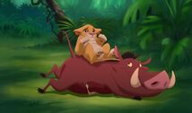 Hakuna matata 3044