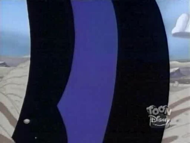 File:Sand Shark 37.jpg