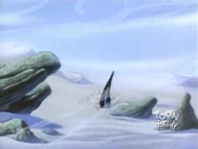 File:Sand Shark 44.jpg