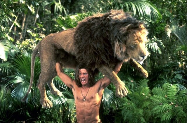 File:Lion.jpg