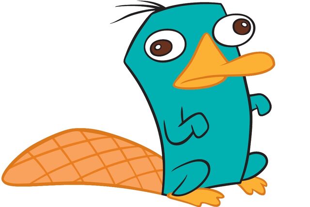 File:Perry the platypus.jpg