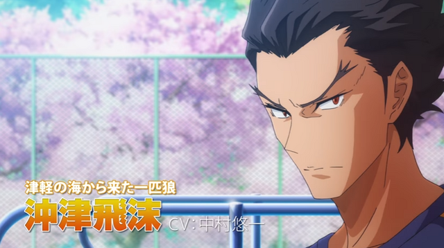 File:Shibukipv1.png