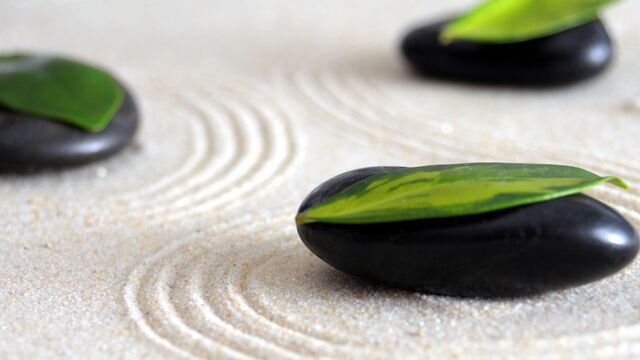 File:Zen-garden-Design-milo-3oneseven.jpg