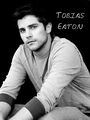 Thumbnail for version as of 16:34, June 28, 2012