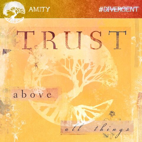 File:Amity1.jpg