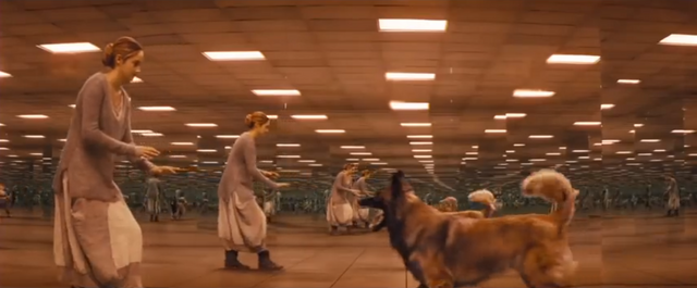 Archivo:Tris en la prueba de aptitud.png