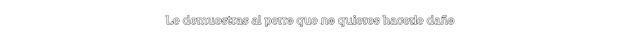 Archivo:Etapa 2.1 respuesta B.png