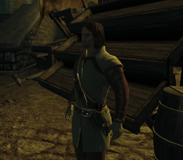 Divinity 2 Zarniyar