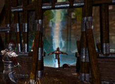 Bark up the Right Tree - Champion stuck down (D2 FoV quest)