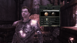 Illusionist interface (D2 character customization)