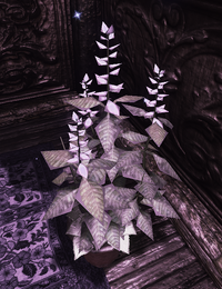 Holy Basil (D2 herb)