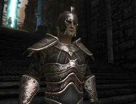 Servus (D2 FoV character)
