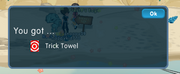Dizzywood trick towel