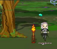 1st torch