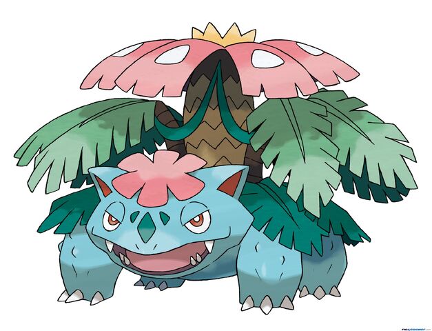 File:Mega venusaur.jpg