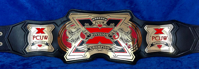 File:X Division belt copy.png