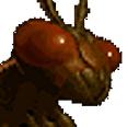 Dk1 fly huge
