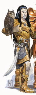 Moon half-elf.jpg