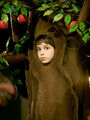 Thumbnail for version as of 22:29, February 8, 2011