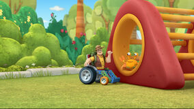 Wildlife will and hermie