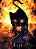 Enemytiger