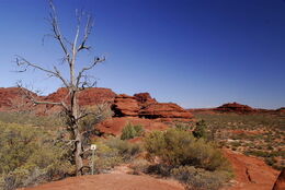 Australian Outback