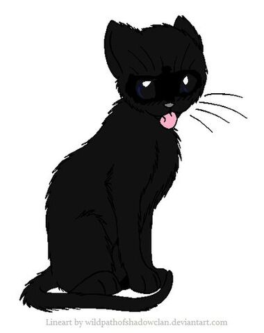 File:Raven.jpg