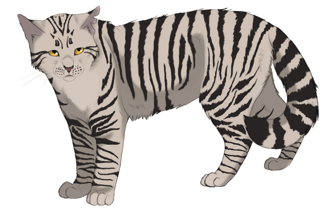 File:Bumblestripe.png