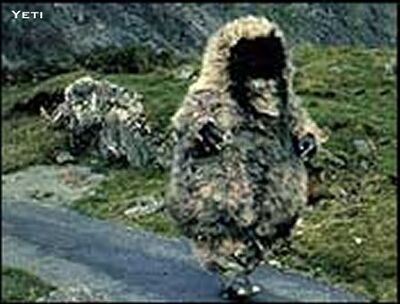 Yeti Walking