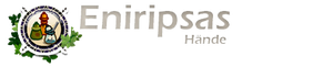 Eniripsabanner.png