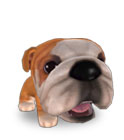 File:Lovely dog10.jpg