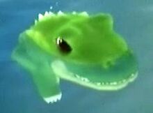 DogIsland alligator