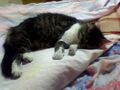 Thumbnail for version as of 17:35, November 21, 2011